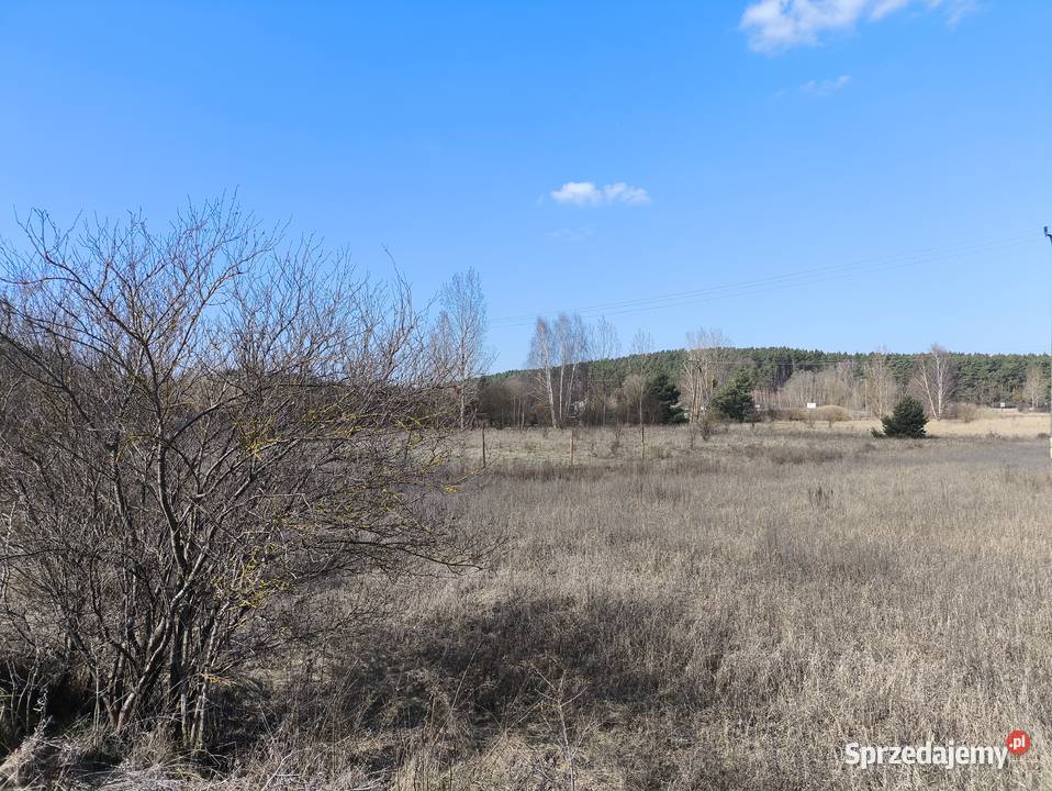 działka 17 ar sprzedaż raty 0 zamiana 1679m2 Sprzedaż