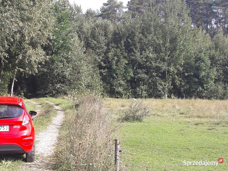 Dzialka rolna z warunkami zabudowy podlaskie