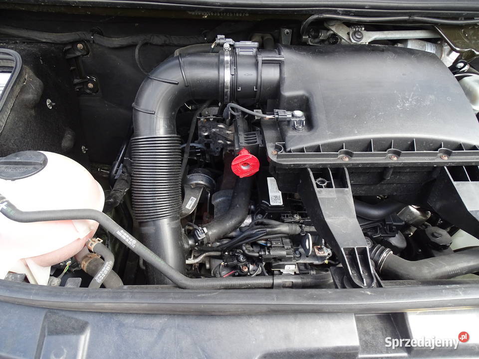 MercedesBenz Sprinter 313 CDI 130 koni L4 H2 elektryczne szyby Poznań