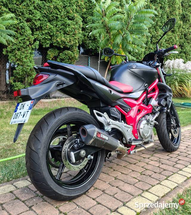 Suzuki Gladius 650 2014 nieuszkodzony Sandomierz