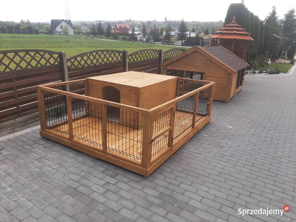 Buda psa Kojec Jordanów