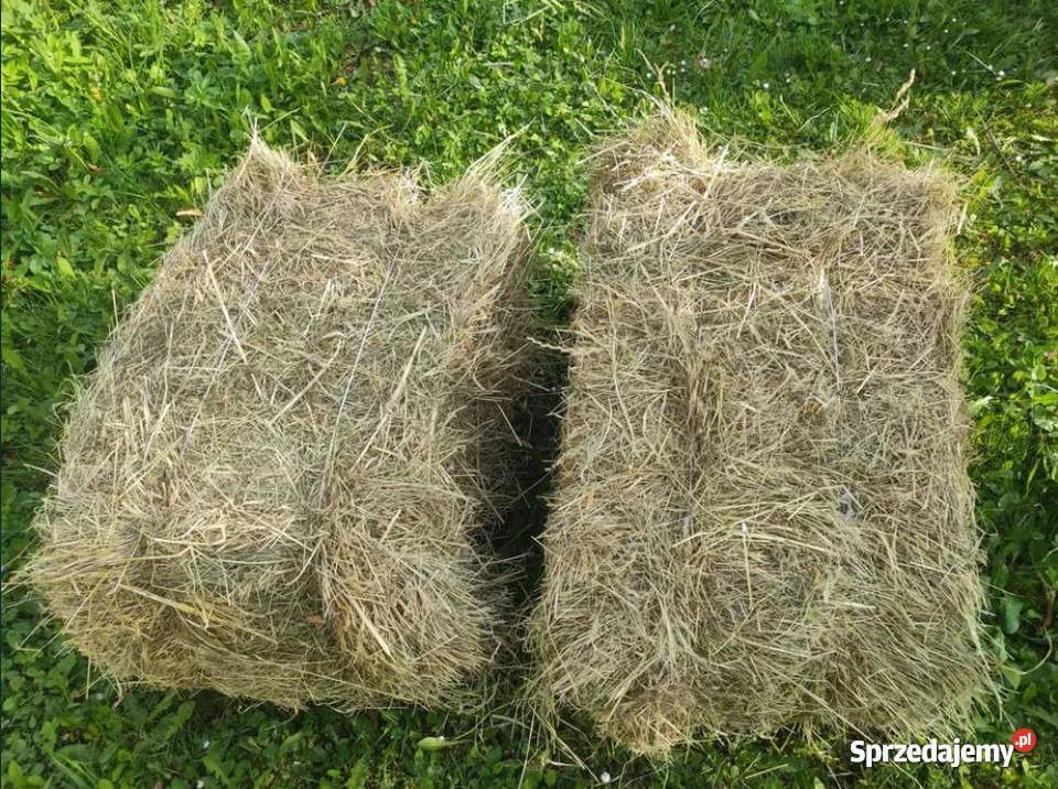 Sprzedam siano w kostkach