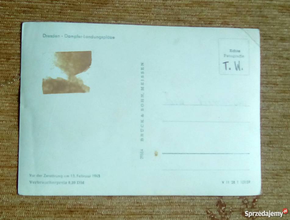 WIDOK NA STARE MIASTO Z KATEDRĄ W DREŹNIE lubelskie Piszczac