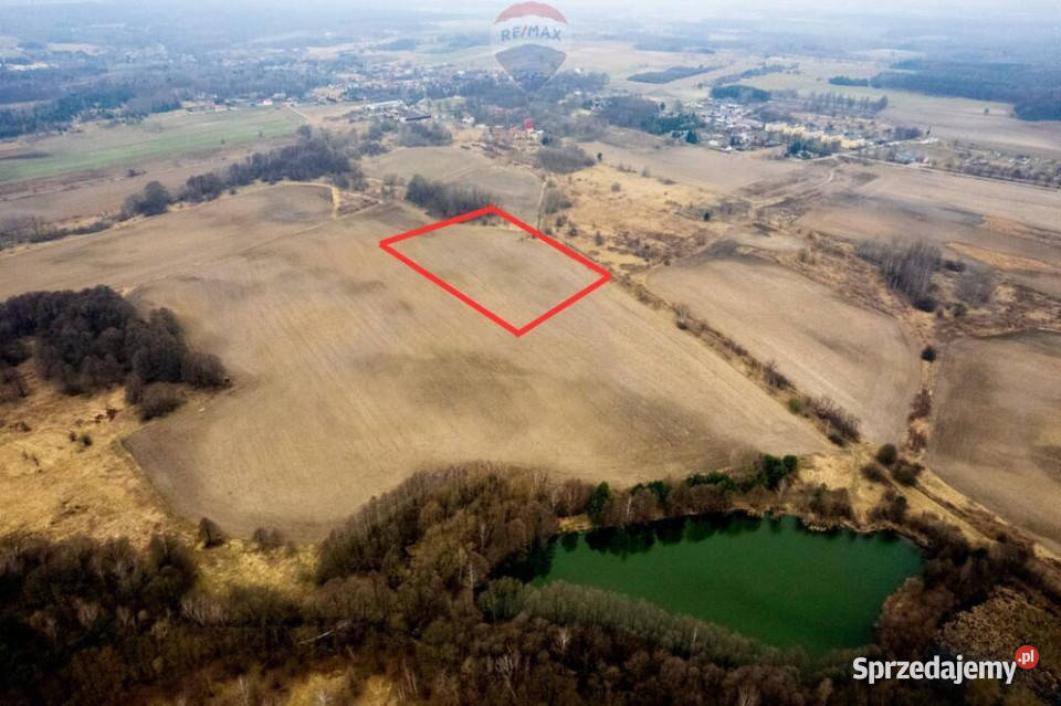 Działka rolna Grabowno Wielkie gm Twardogóra
