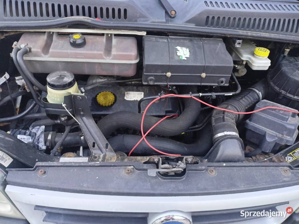 Silnik kompletny Ducato 28 żółty korek Silniki i osprzęt Kielce sprzedam