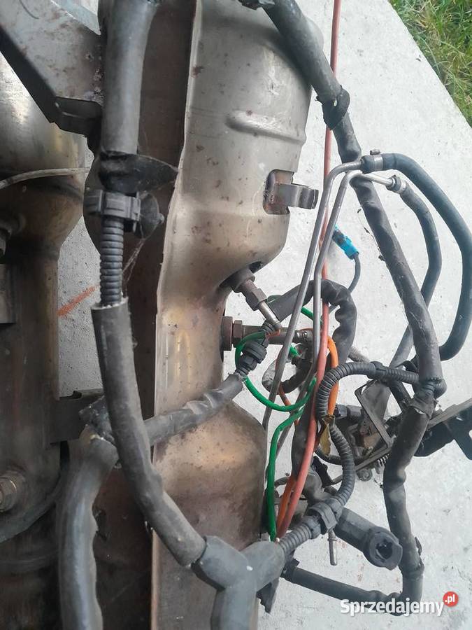 Dpf katalizator master 3 22r Włoszczowa