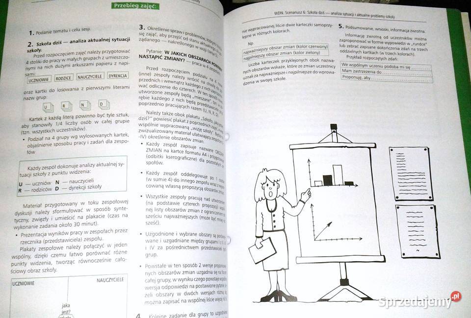 Program nowa szkoła Wewnątrzszkolne doskonalenie Chełm sprzedam