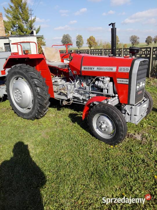 Massey Ferguson MF255 w Orginale 1984 okazja utrzymany