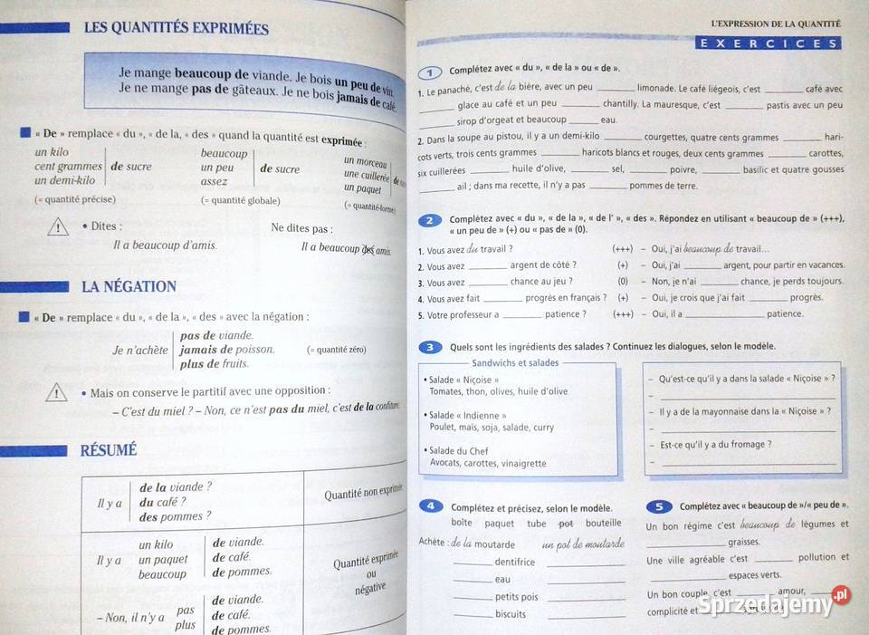 Grammaire progressive du franais avec 600 Chełm