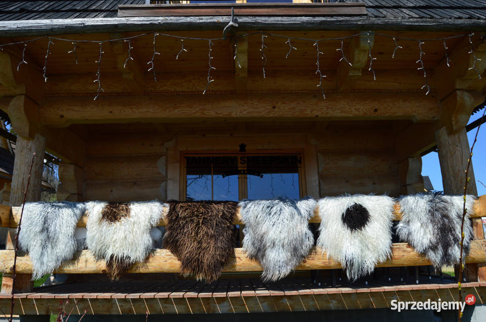 Skóra Owcza Naturalna Island Kręcony Włos Różne Szaflary