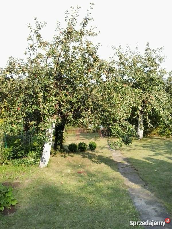 działka ogrodnicza ROD Wójtowa Rola warmińsko-mazurskie Olsztyn