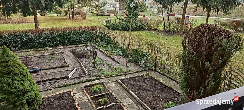 3 Pokoje Fordon Sucharskiego DUŻA PIWNICA Liczba pokoi 3 Bydgoszcz sprzedam