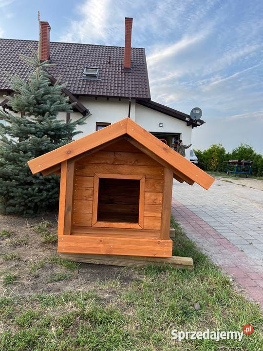 Ocieplana styropian 5 Buda Psa Z Przedsionkiem Witkowo
