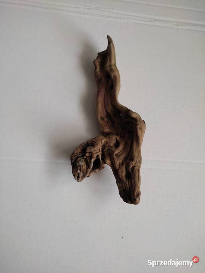 Filtr Aquael Turbo 500 korzeń odmulacz do sprzedam