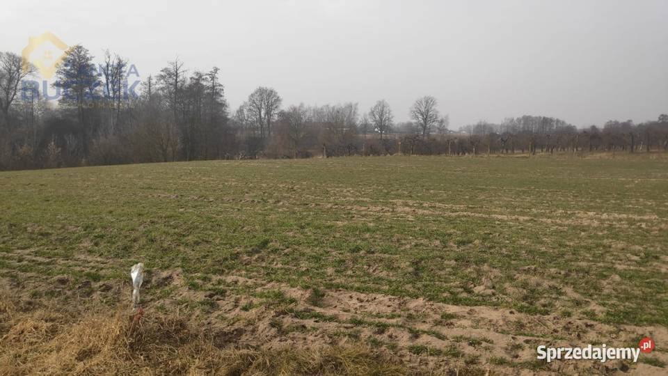 Sprzedam działki rolne z WZ w miejscowości Sprzedaż Strzyżew