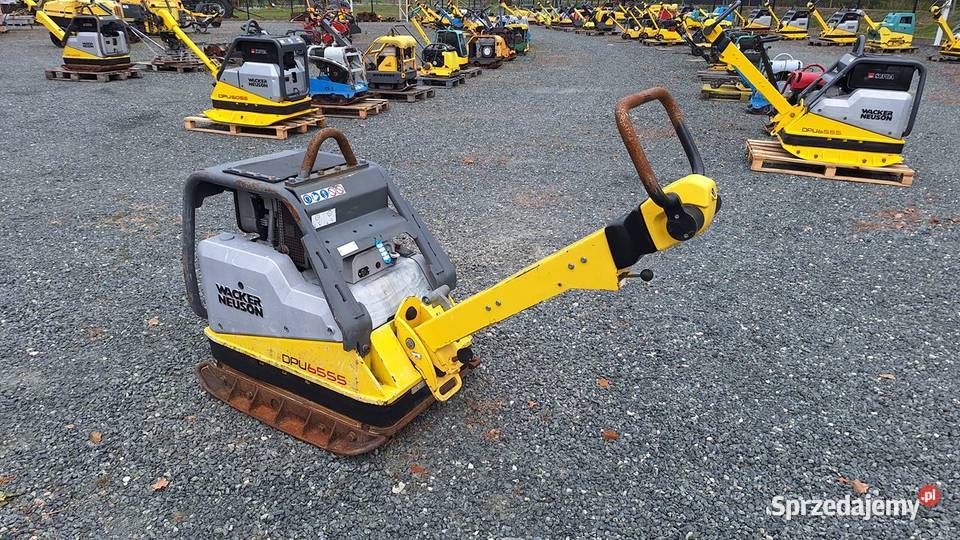Zagęszczarka Ubijak Gruntu 2017 WACKER NEUSON Trzebnica