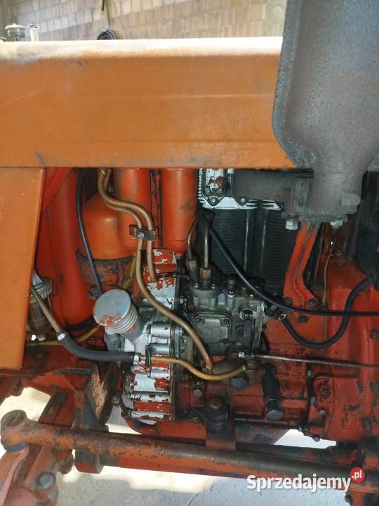 Władimirec t 25 Janów Lubelski