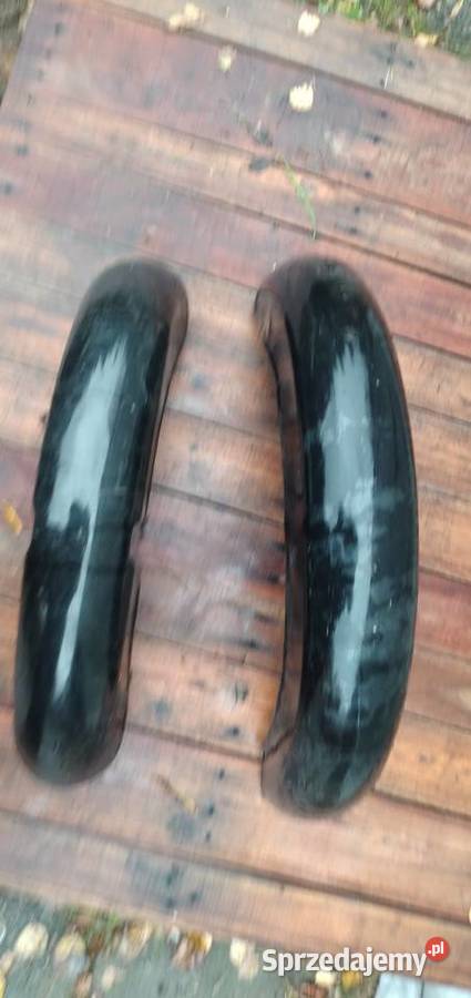 Blotniki danuvia 125 świętokrzyskie