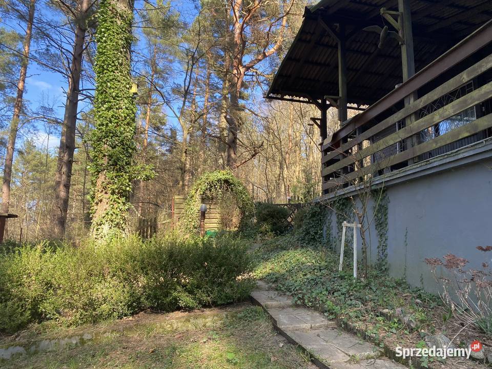 Domek jeziorem w lesie 2700zł/m2 pomorskie Zbychowo