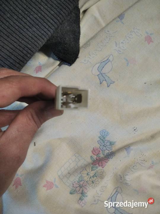 Przewud wyłonczniak zapłonu podlaskie