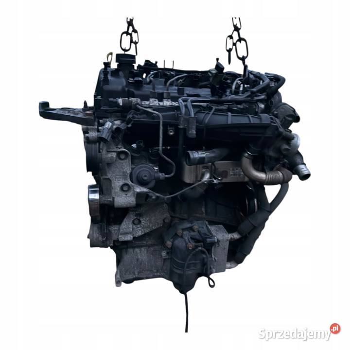 Silnik D4HA MT 20 CRDi Kia Sportage 3 20102016r wielkopolskie Barłogi