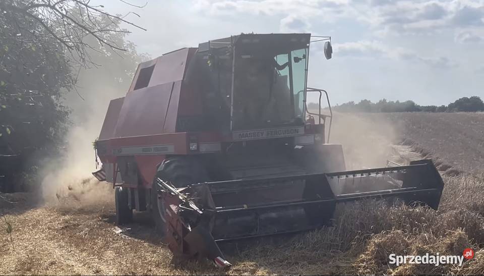 Massey Ferguson 31xp dronningborg 8500 Zbożowe Wierzba