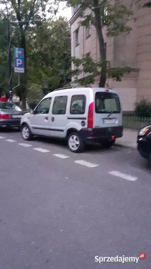 sprzedam kangura sprzedam