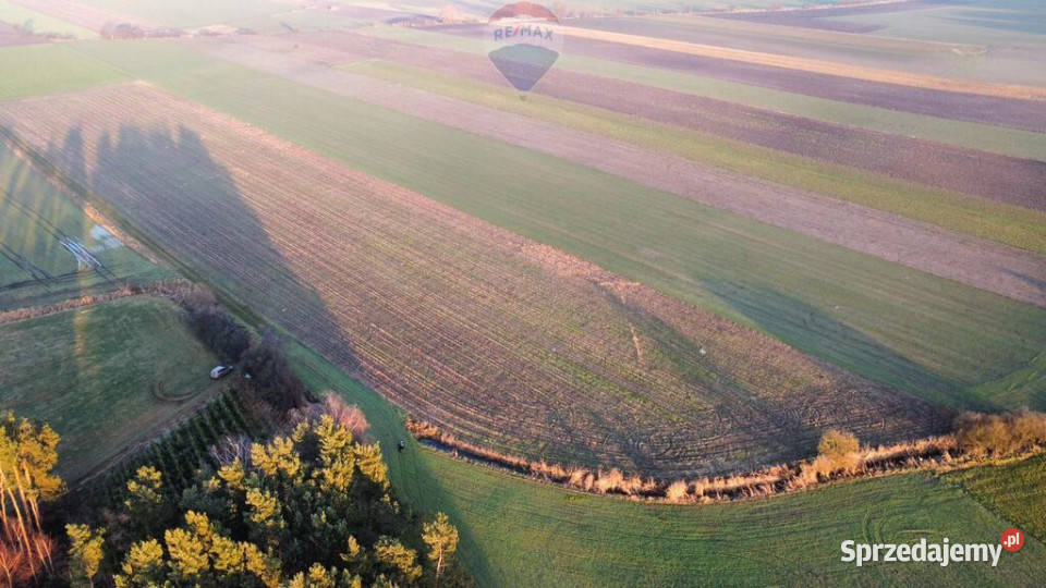 Działka inwestycyjna Przemysł 29ha wielkopolskie Borek Wielkopolski