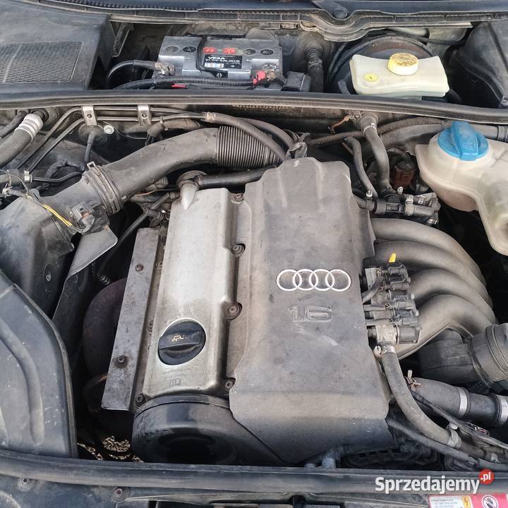 Audi A4 B6 Sprzedaz Zamiana Audi Bychawa