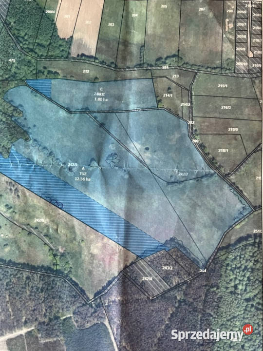 Sprzedam łąkę 164200m2 Wrociszów