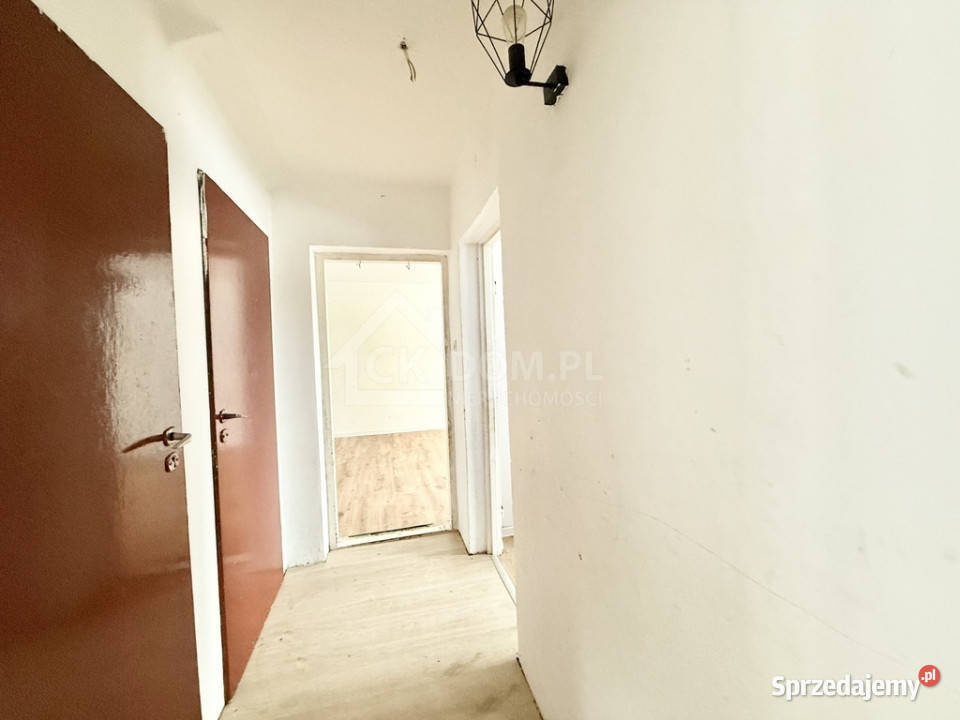 Dom z dużą działką Bławatków gm Piekoszów Lesica