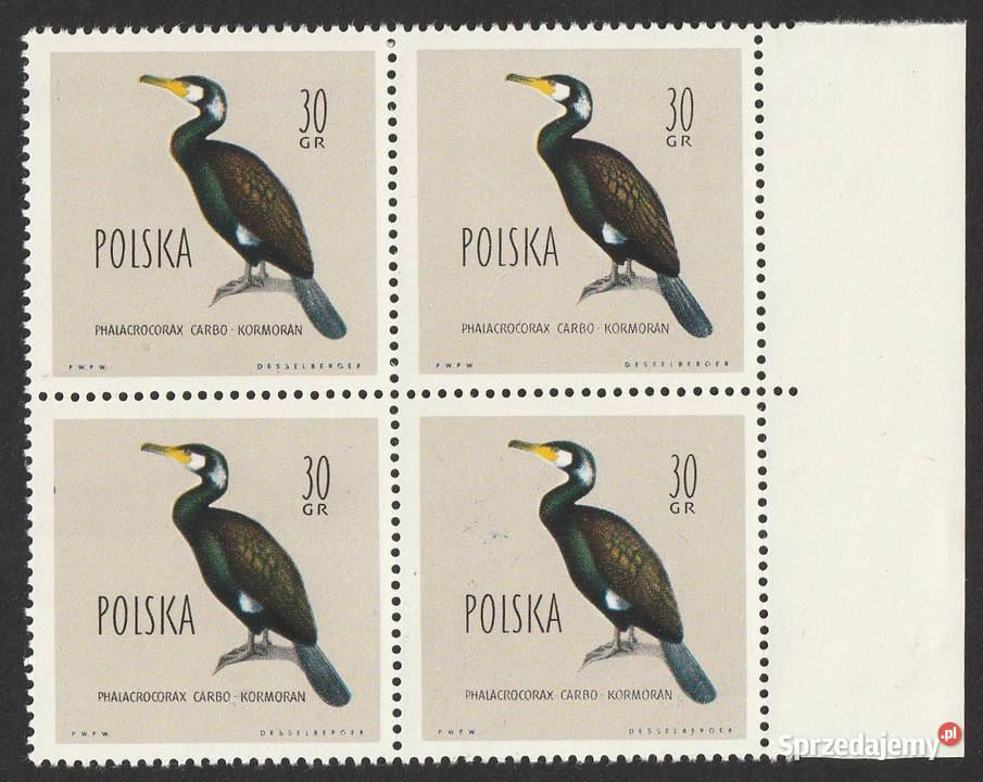 POLSKA KOROMORAN 1960 CZWÓRKA CZYSTE Łódź