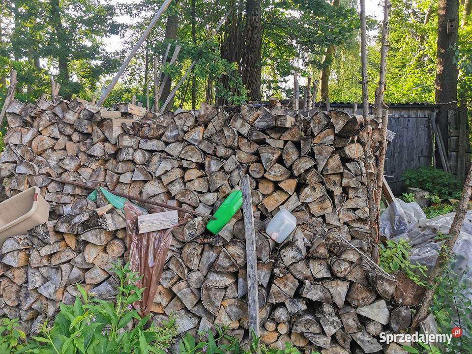 Drzewo na sprzedaż Janów Lubelski