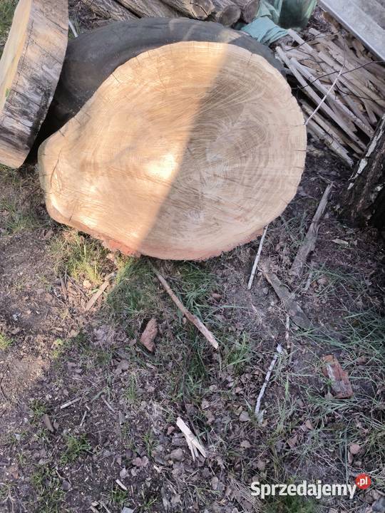 Plastry dębu na stolik