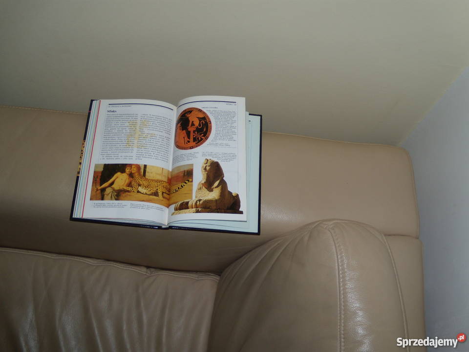 Dusze zwierząt Nicholas J Saunders sprzedam