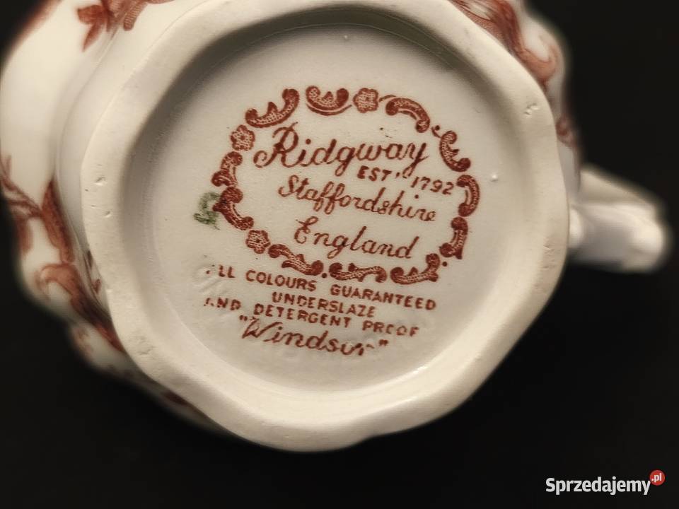 Mlecznik angielski Ridgway Windsor Chełm