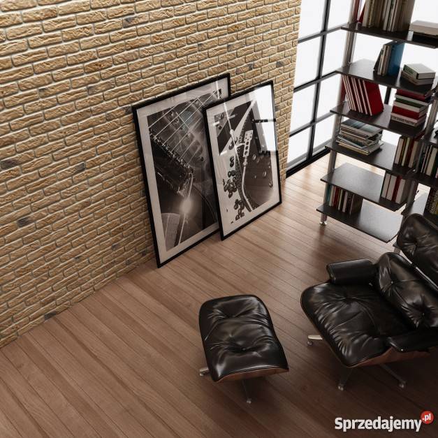 Kamień Dekoracyjny Płytki Ozdobne Cegły z Fugą Kraków