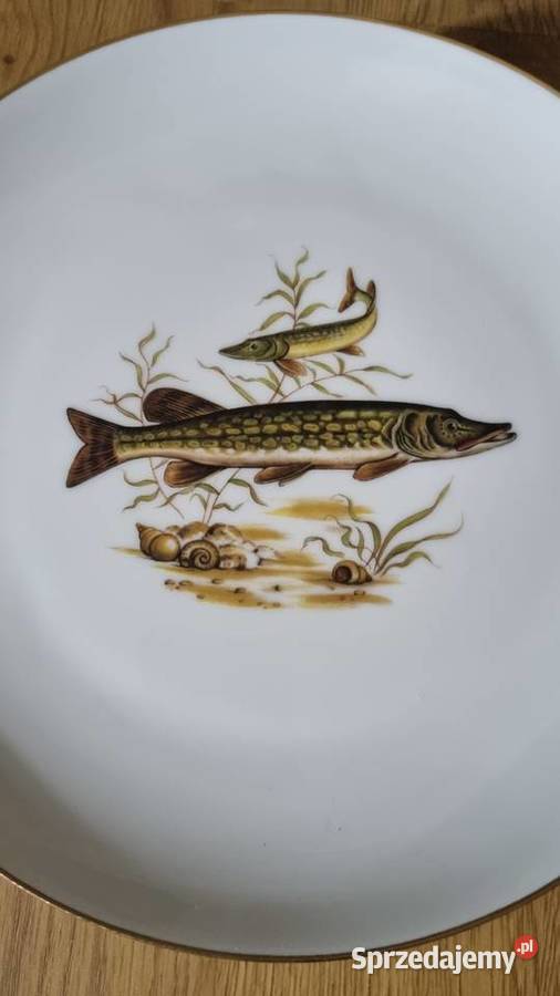 Talerze do ryb Porcelana Francuska Limoges Talerze i talerzyki sprzedam