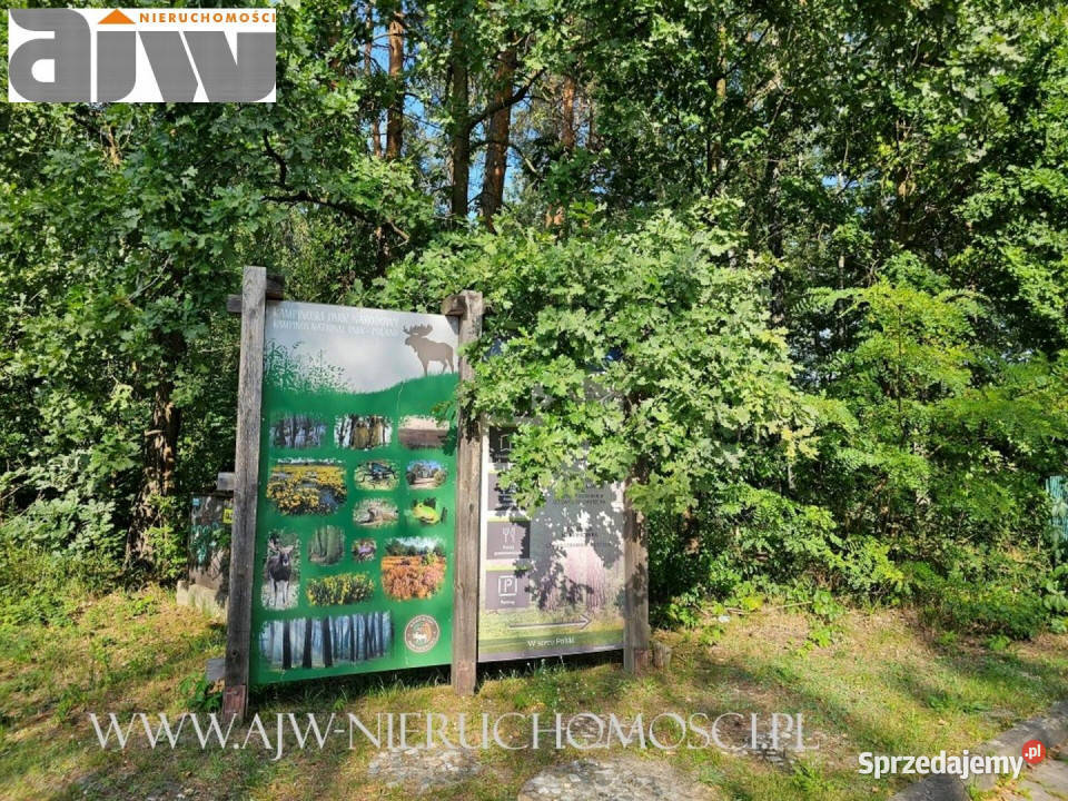 Działka Izabelin C 1320 metrów 1320m2 Nieruchomości sprzedam