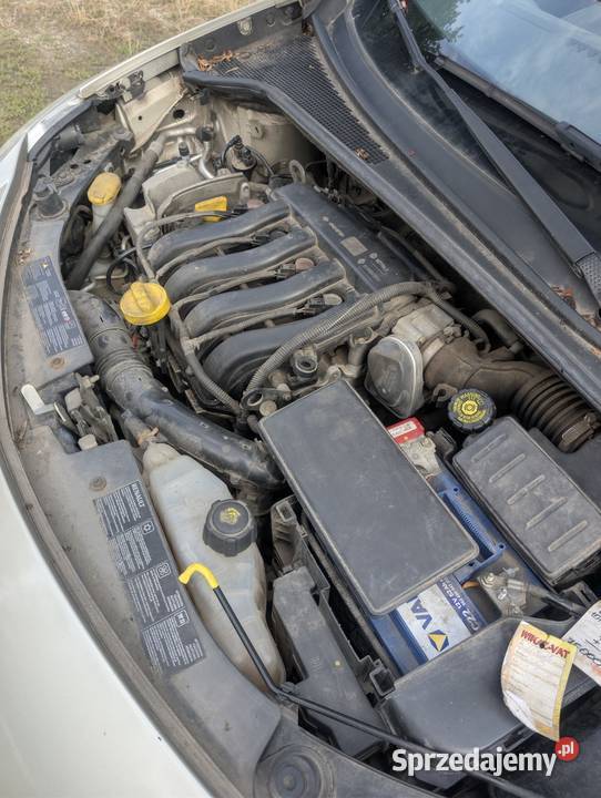 Renault Clio III 14 104 przebiegu Rok produkcji 2007 Samochody osobowe Biskupin