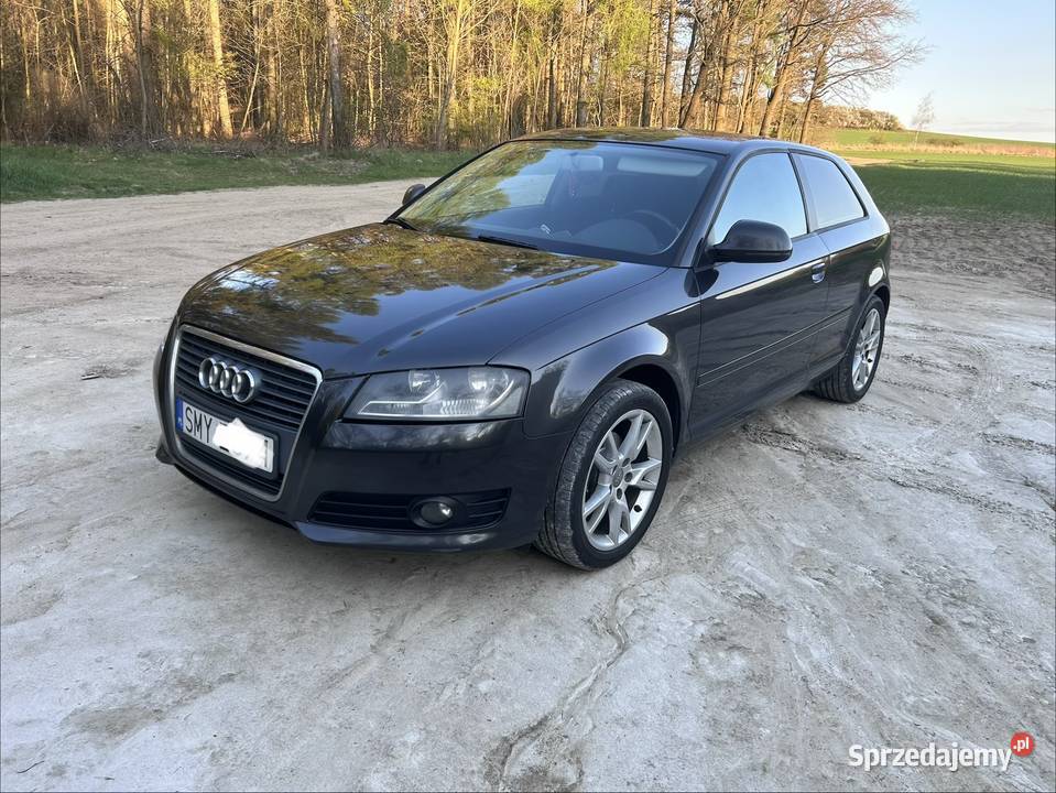 Audi A3 8PA 16TDI 105 manualna Żarki