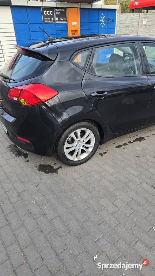 1 własciel serwis do konca 2015 Wałbrzych