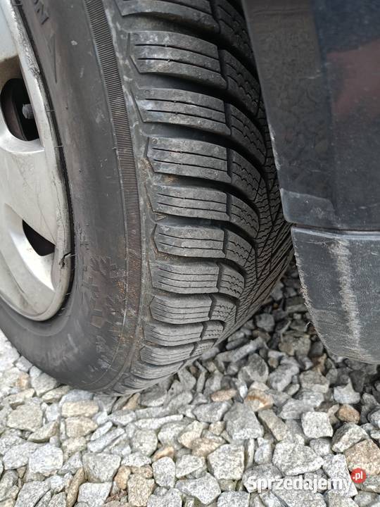 Golf 4 19 tdi 101 Krzeczów