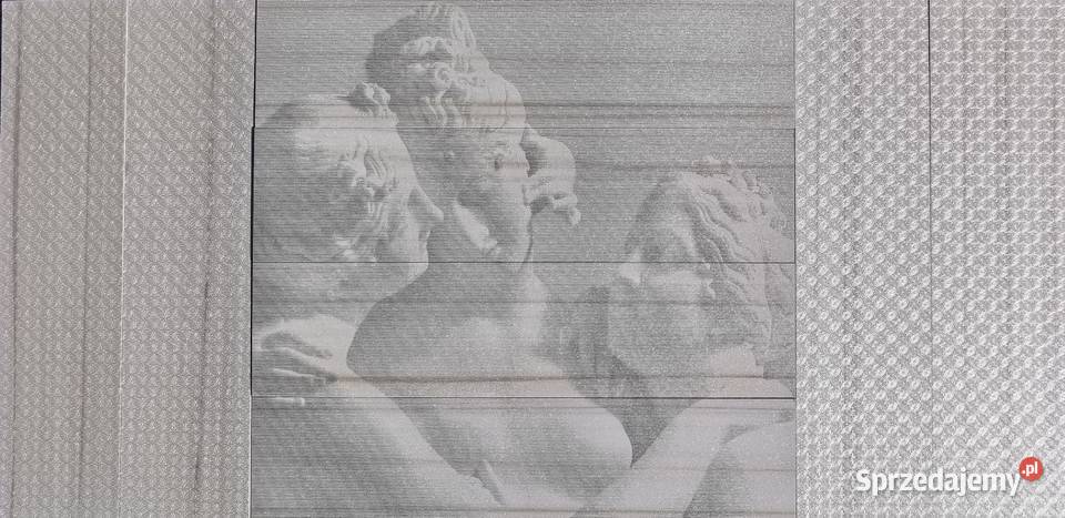 Płytki Cerdisa Trama Zebrino 25x100 Włoskie małopolskie Poskwitów