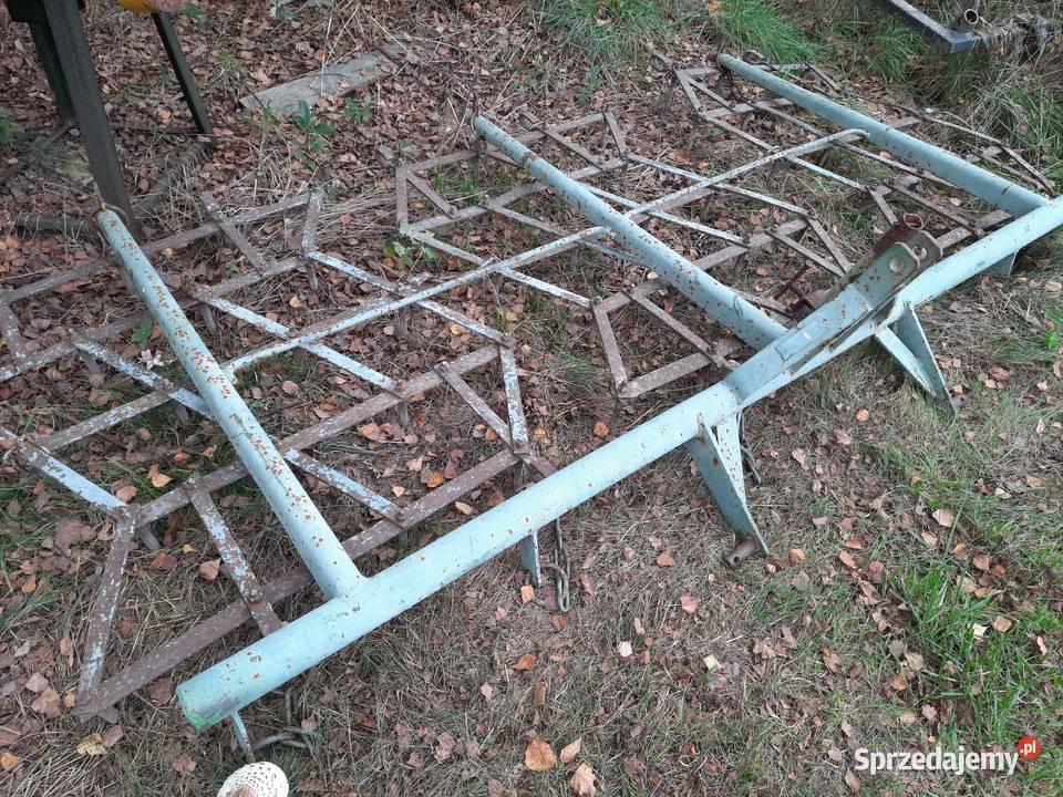 Brony 3 trójki Bucze