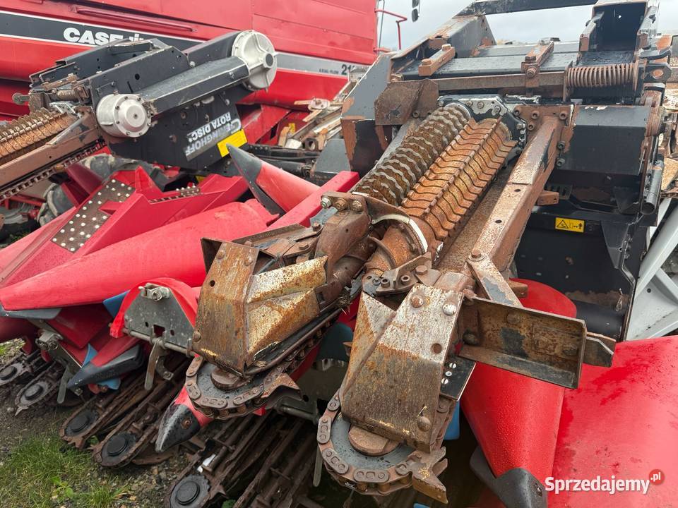 Przystawka do kukurydzy Gringhoff 6 rzędowa Maszyny do obróbki i pakowania Nowa Ruda