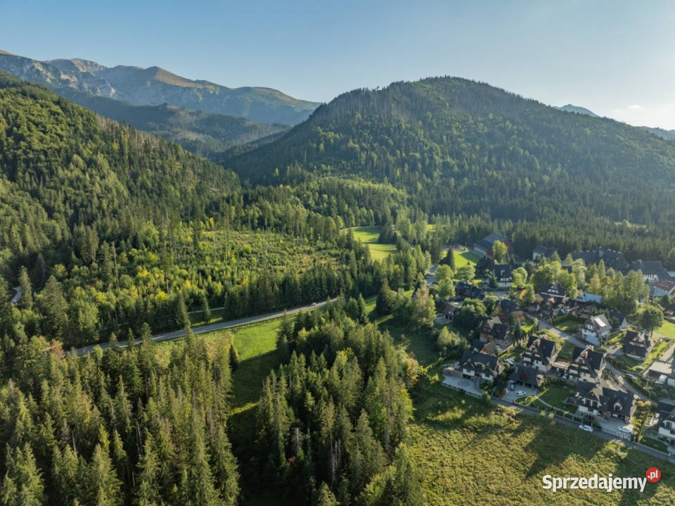 Działka RolnoLeśna 2784 m Kościelisko Gronik 85m