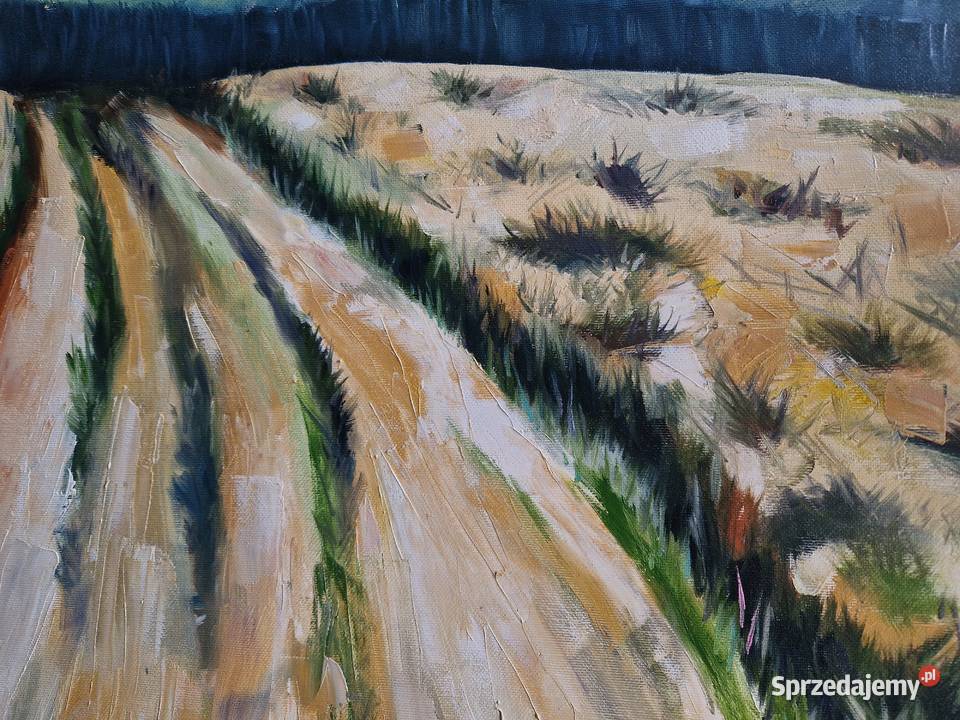 Bieszczady 100x70 olej na płótnie Nowy Sącz sprzedam