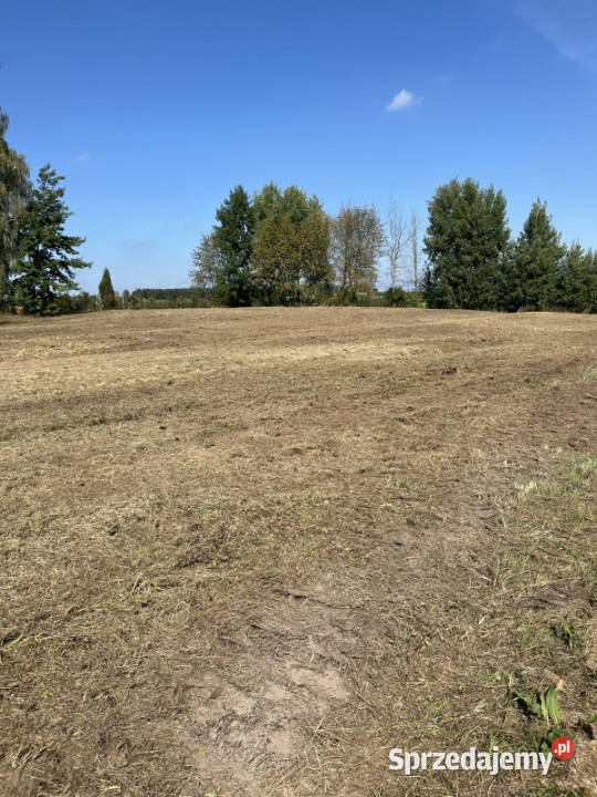 Sprzedam działkę 4900m2 Rososzka