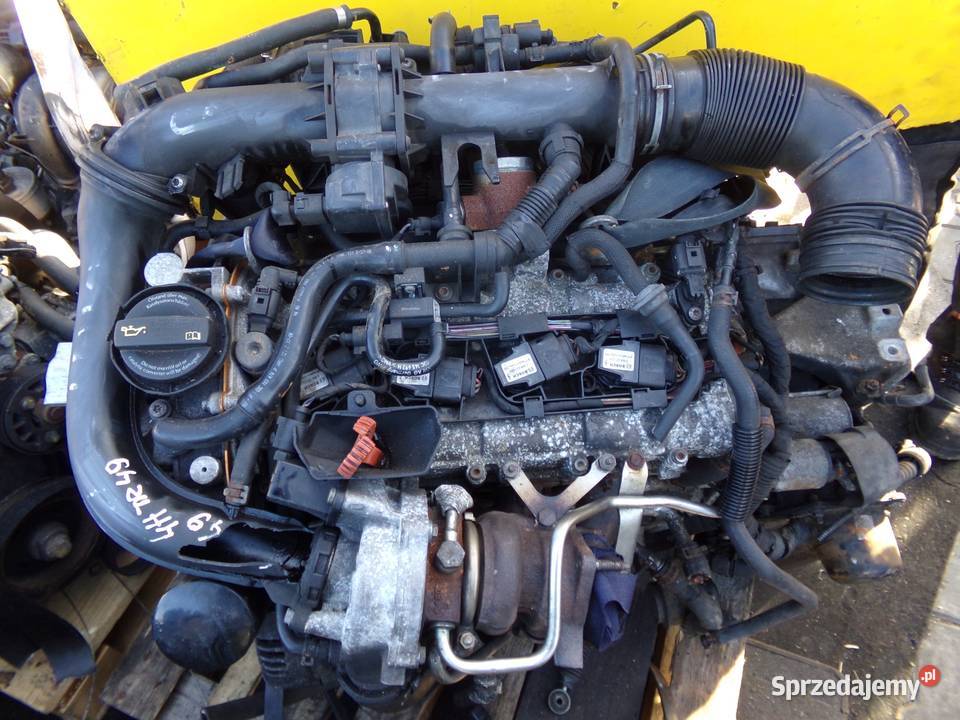 GOLF VI EOS SCIROCCO JETTA TIGUAN 14 TSI 11r 160 osobowe Suków sprzedam